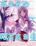 他的太太txt下载