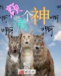 ɫ(˽֮ݺ˼)